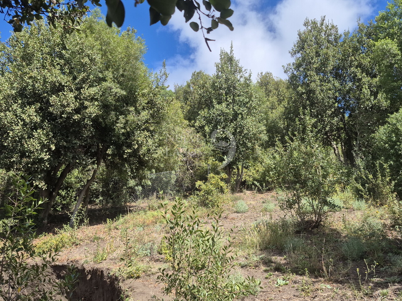 Venta casa de tres ambientes a estrenar en Valle Chapelco - 20