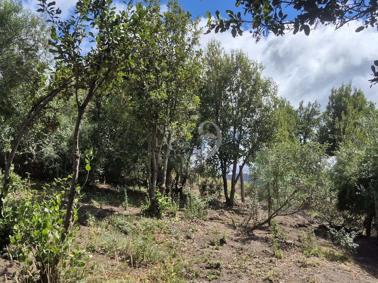 Venta casa de tres ambientes a estrenar en Valle Chapelco - 21