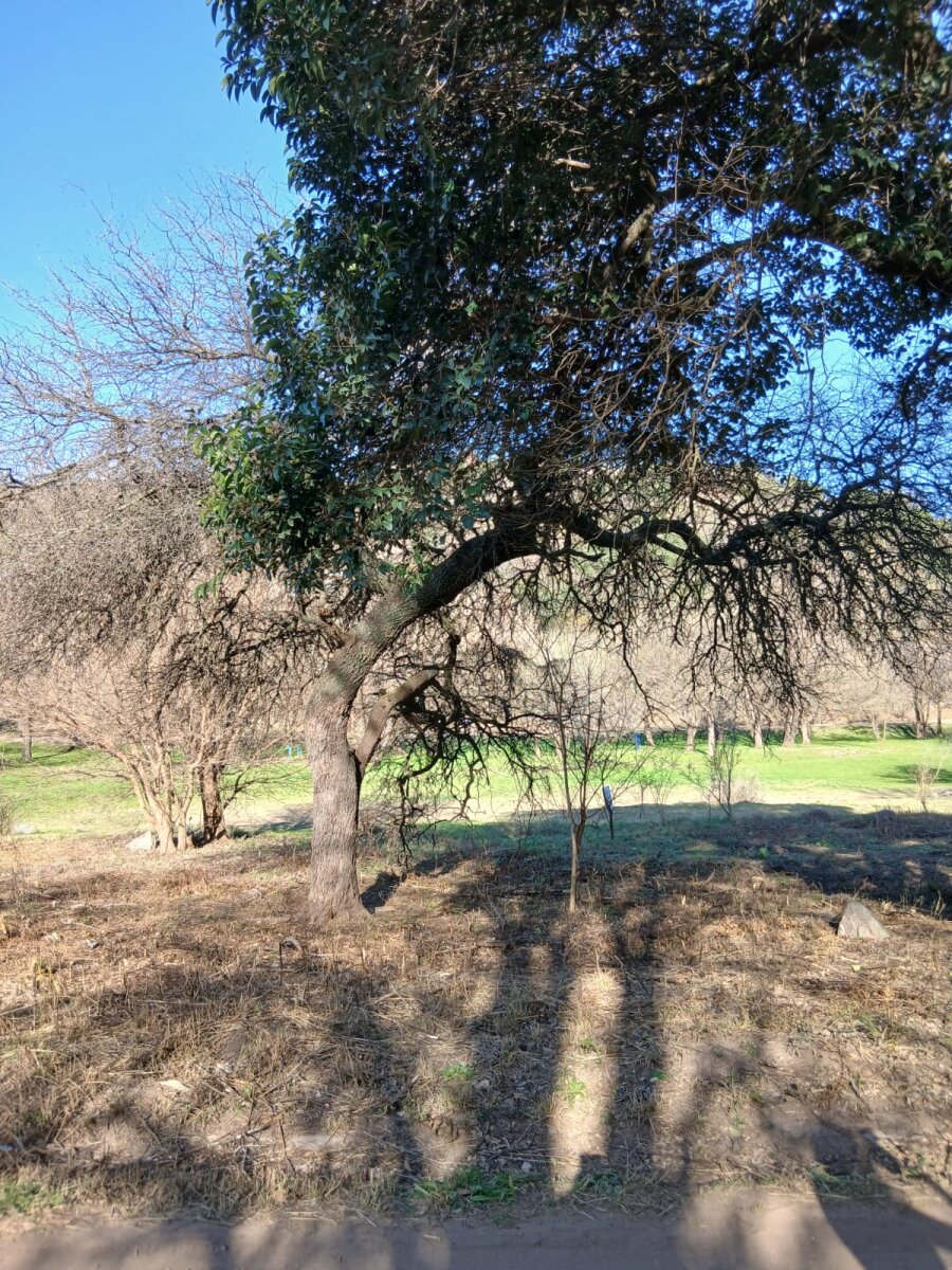 Lote en venta Bº Sierra Nueva - Mendiolaza - Imagen 3