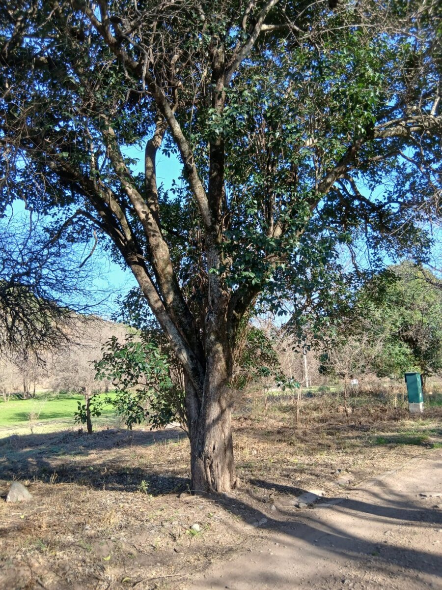 Lote en venta Bº Sierra Nueva - Mendiolaza - Imagen 4