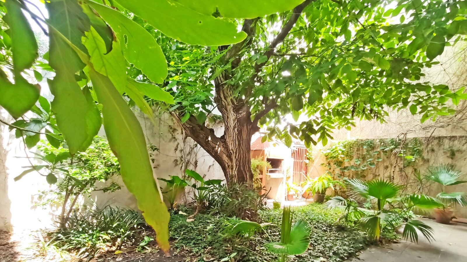 Casa con Jardín, Garaje, Terraza y Parrilla en Villa del Parque — foto 5