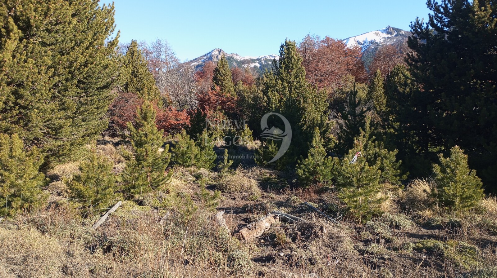 Venta de lote en Las Jorgelinas, Villa Lago Meliquina - 19
