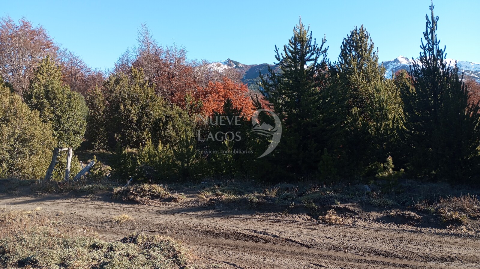 Venta de lote en Las Jorgelinas, Villa Lago Meliquina - 13