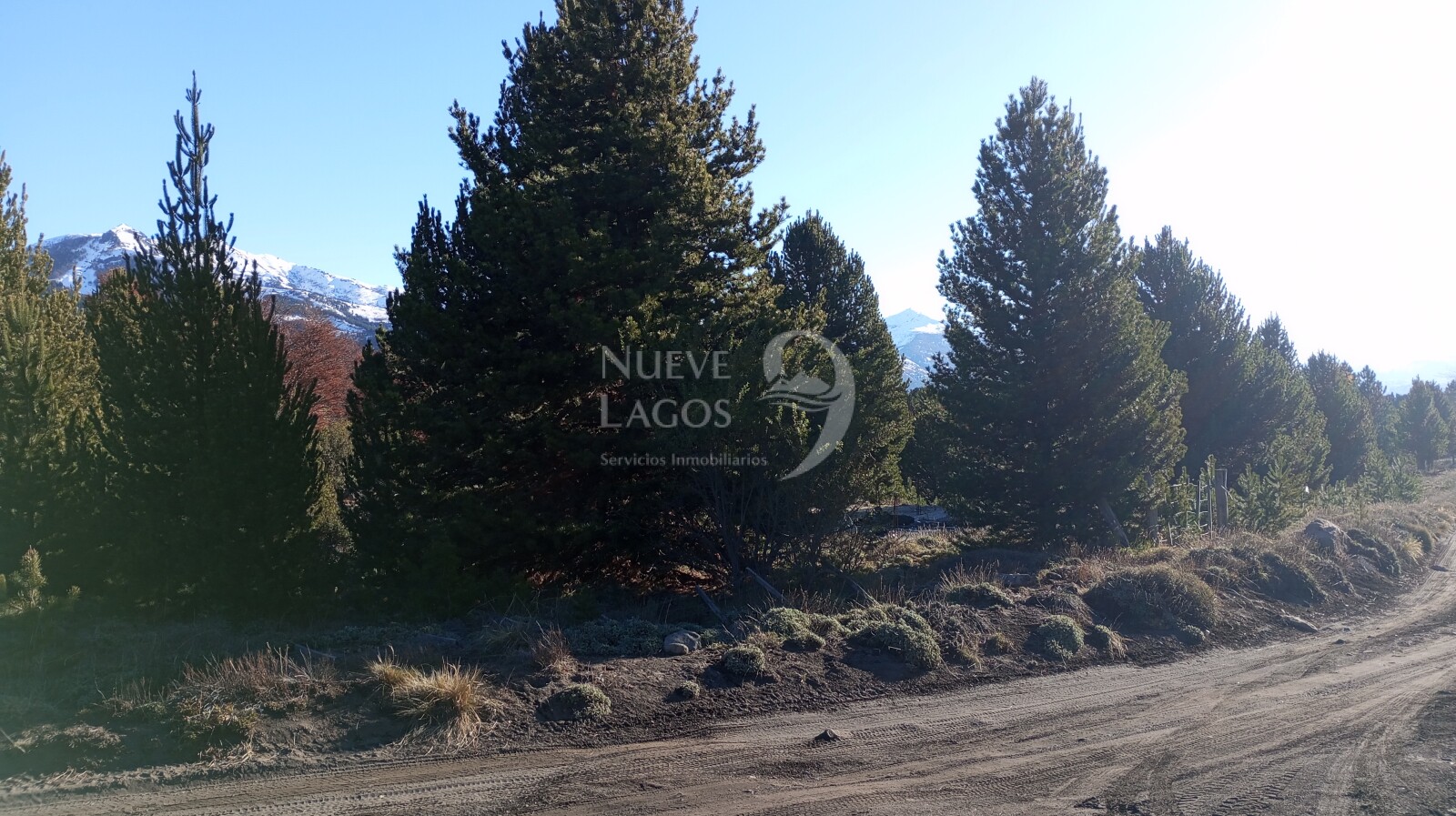 Venta de lote en Las Jorgelinas, Villa Lago Meliquina - 12