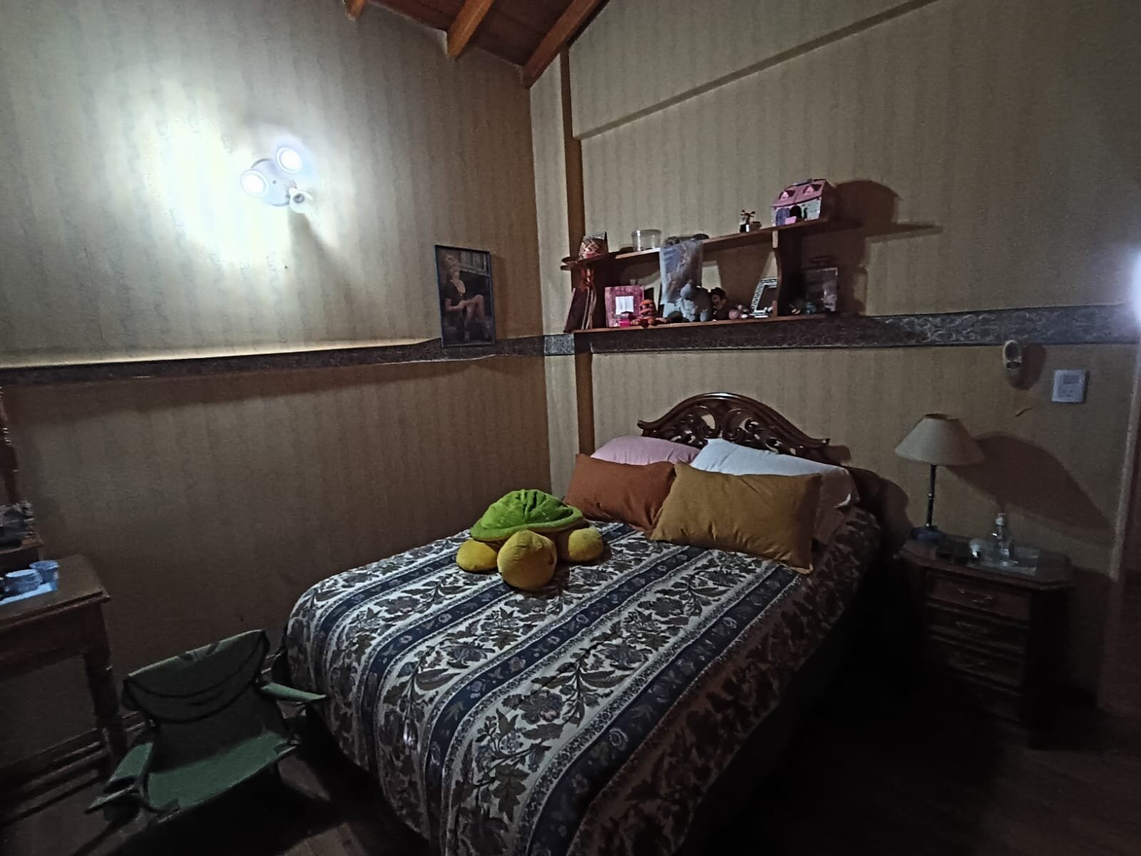 CASA AMPLIA EN LOTE PROPIO CON 4 DORMITORIOS Y EN DOS PLANTAS, Saladillo 5000 - Villa Lugano - 20