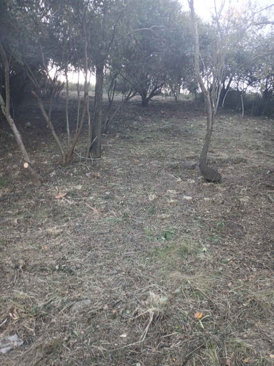 Tu terreno HOY, en Barrio Huerta Grande Parque - Imagen 4
