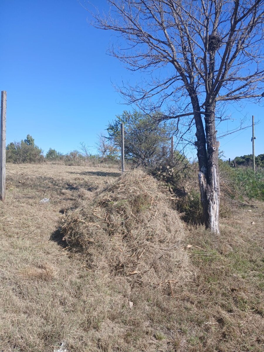 Tu terreno HOY, en Barrio Huerta Grande Parque - Imagen 6