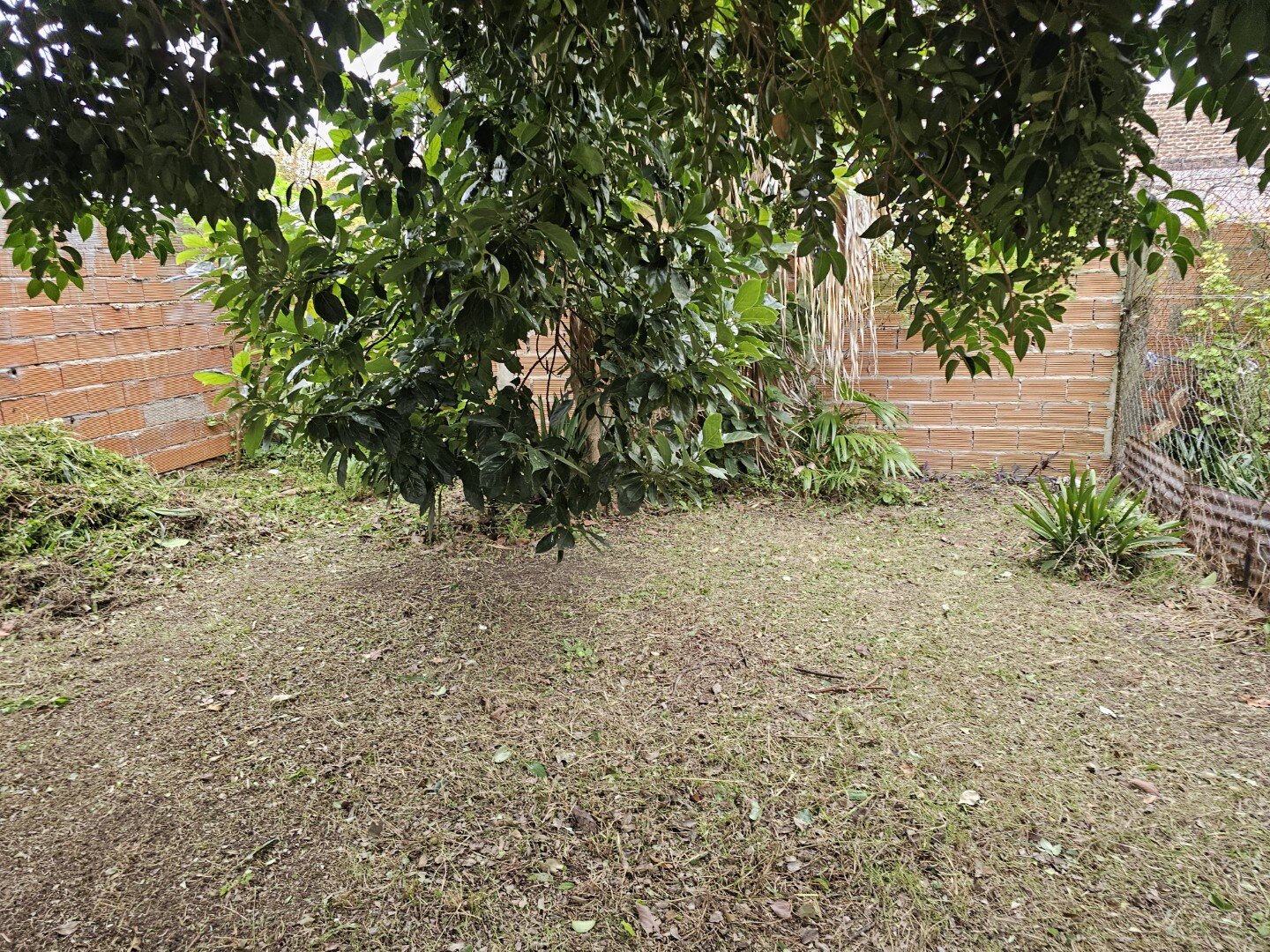 VENTA | Casa a refaccionar con jardín y espacio para vehículos - Junín 340 - 6