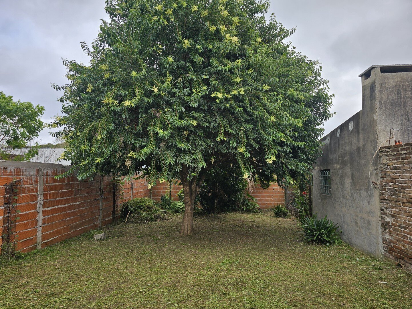 VENTA | Casa a refaccionar con jardín y espacio para vehículos - Junín 340 - 4