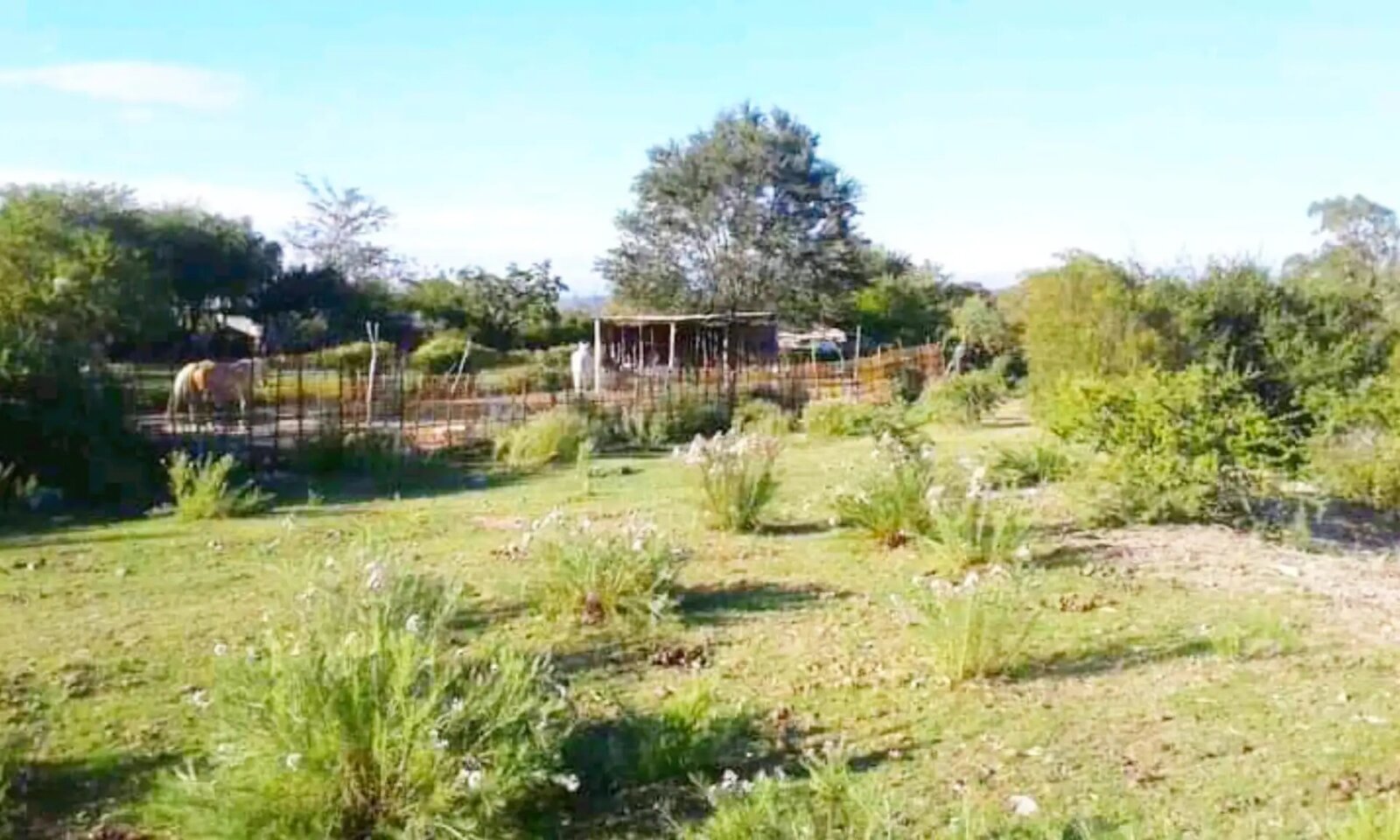 001-Se venden dos terrenos contiguos 3326 m2 en Huerta Grande - Imagen 2
