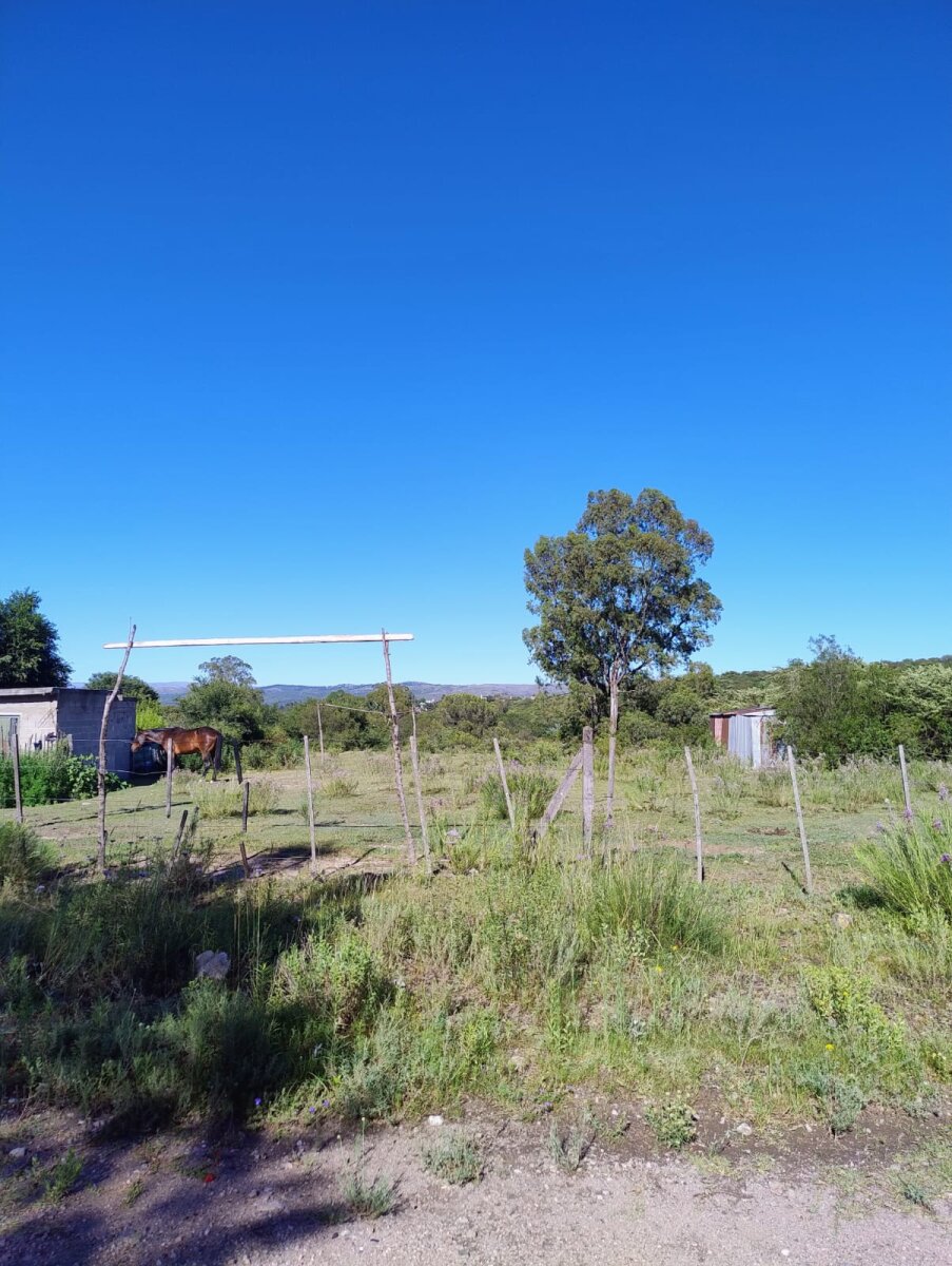 001-Se venden dos terrenos contiguos 3326 m2 en Huerta Grande - Imagen 10