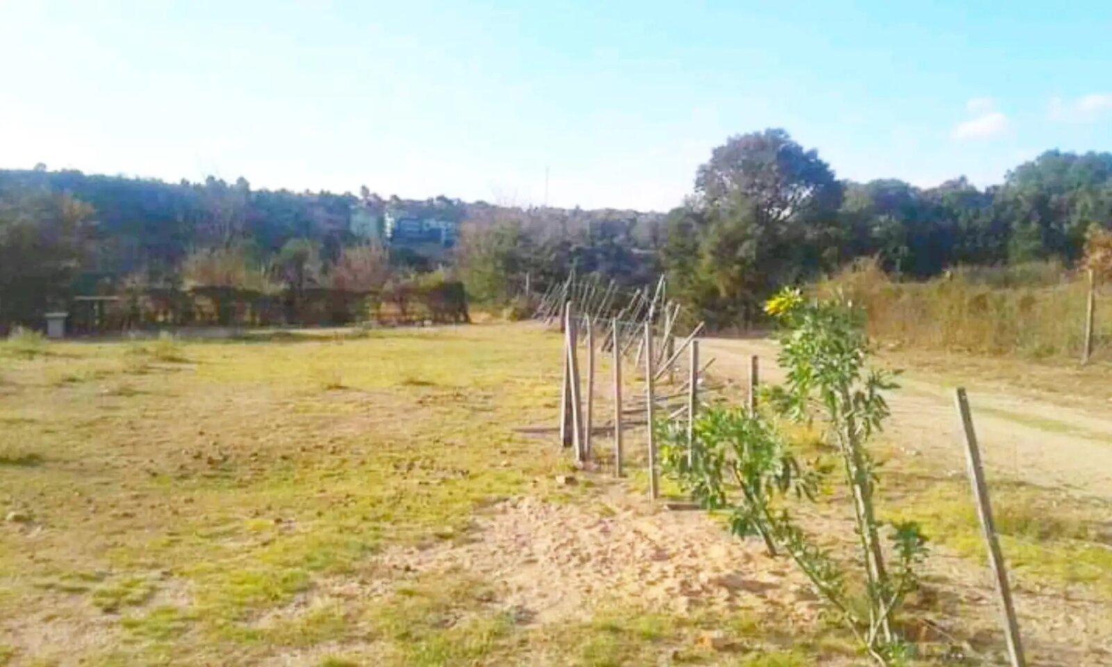 001-Se venden dos terrenos contiguos 3326 m2 en Huerta Grande - Imagen 5
