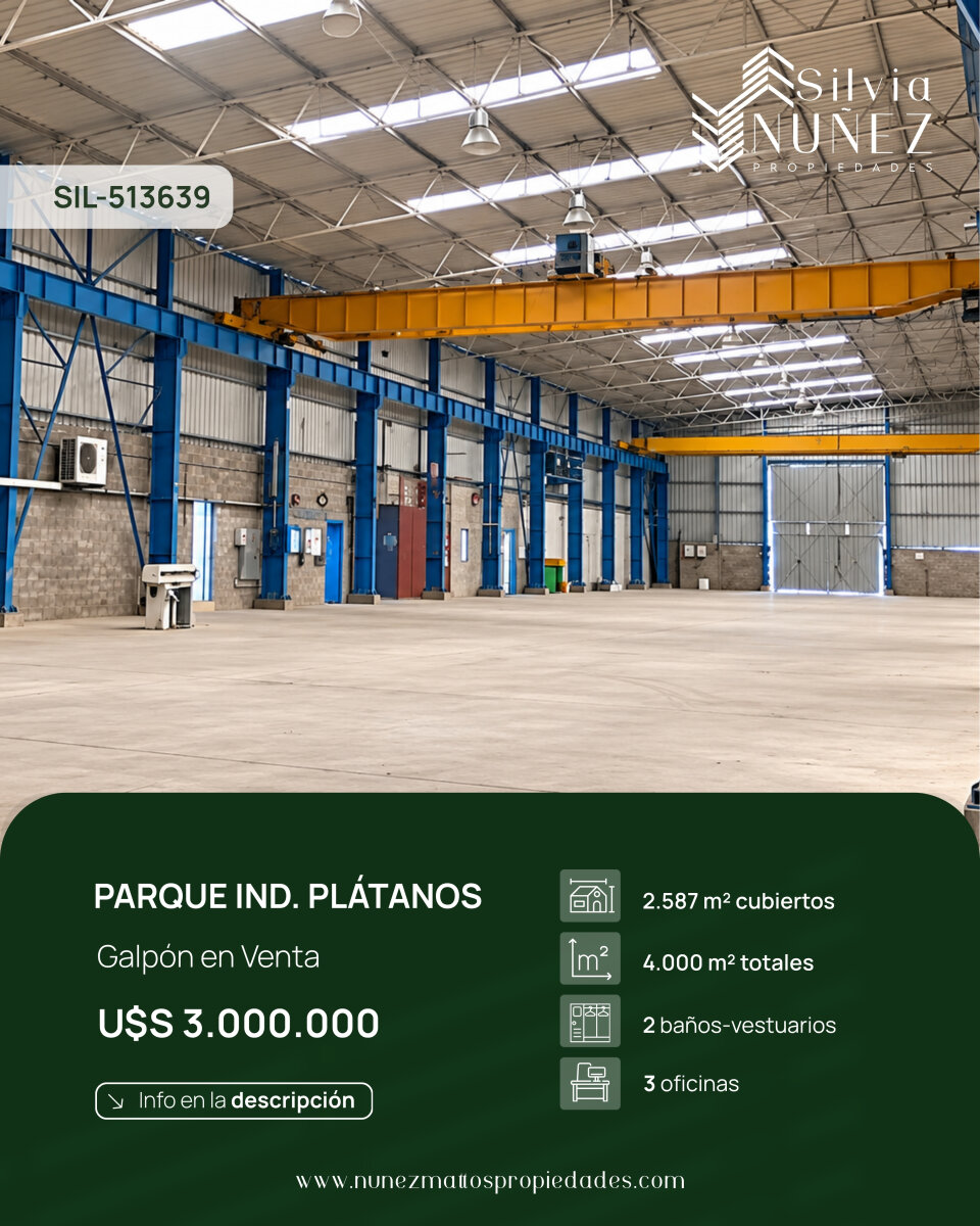 Venta Galpón con puente grua - 1