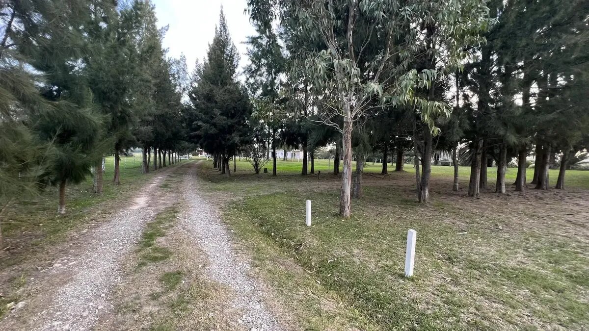 Venta Campo 0 Dormitorios Atalaya - 19