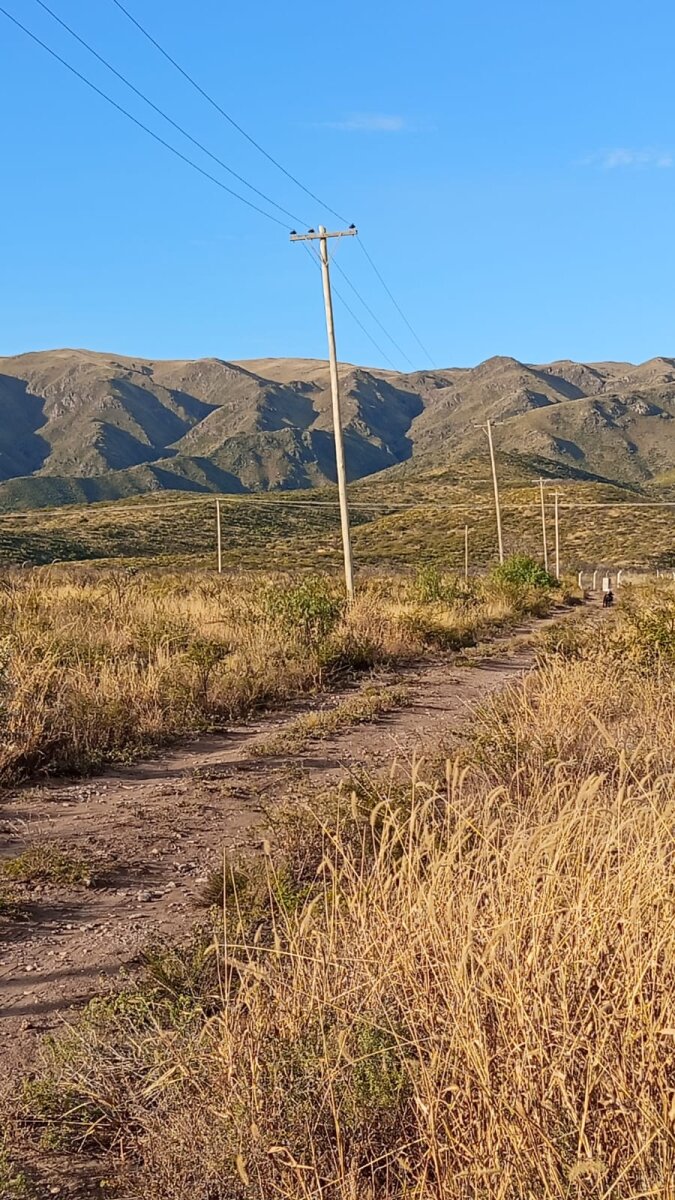 LOTES LLANOS EN CORDOBA CON VISTA PLENA AL URITORCO - 4