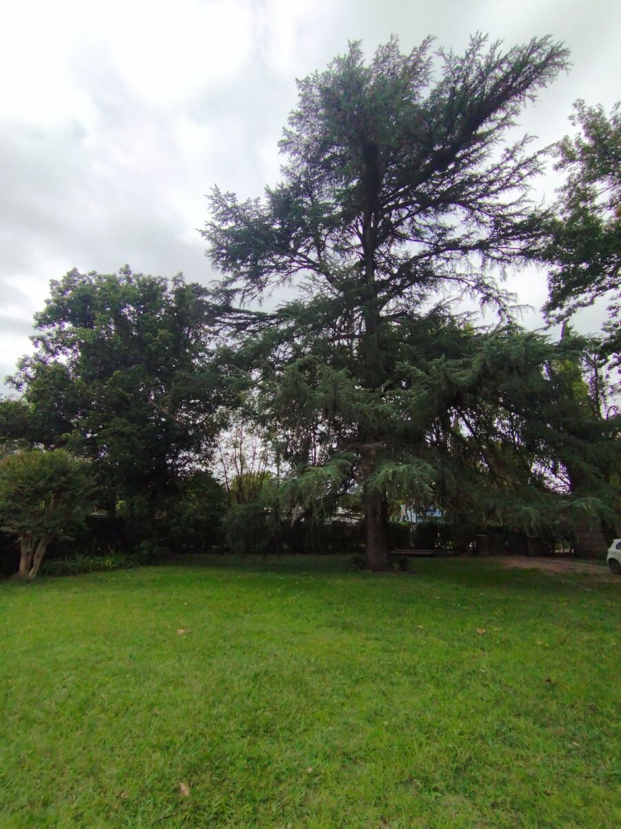 Venta Casa 2 dormitorios Pilar Manuel Alberti Barrio San Luis parque 2100mt2 - 20