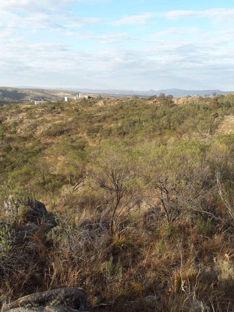 TANTI, LOTES EN ENTORNO NATURAL CON SERVICIOS - Imagen 2