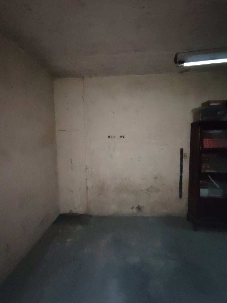 3 DE FEBRERO 2496 01 02 - 14