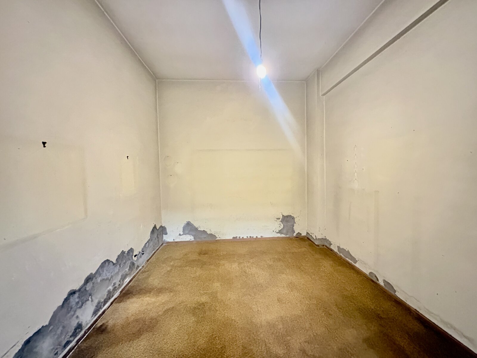 Casa en planta baja. Virasoro 1400. - 21