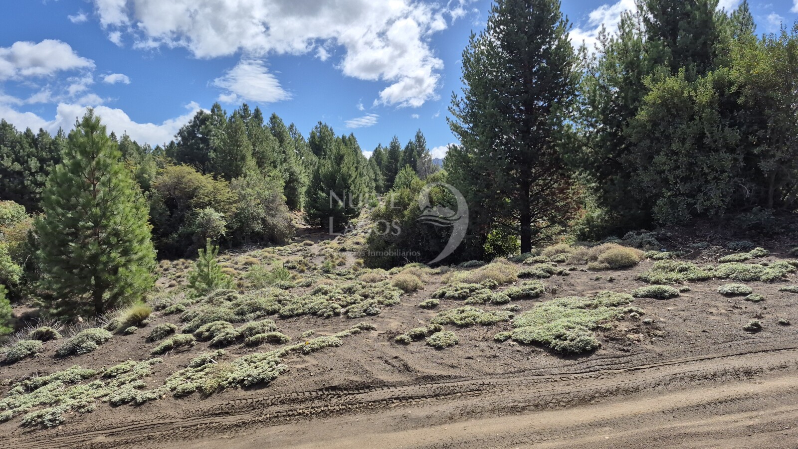 Venta de lote amplio sobre RP63 en Villa Lago Meliquina - 6