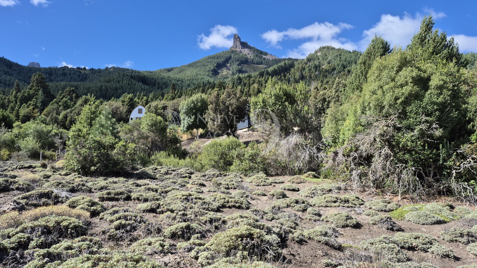 Venta de lote amplio sobre RP63 en Villa Lago Meliquina - 3