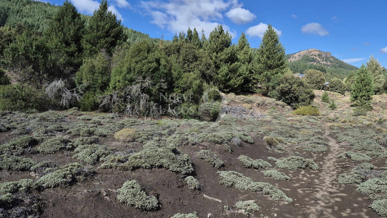Venta de lote amplio sobre RP63 en Villa Lago Meliquina - 5