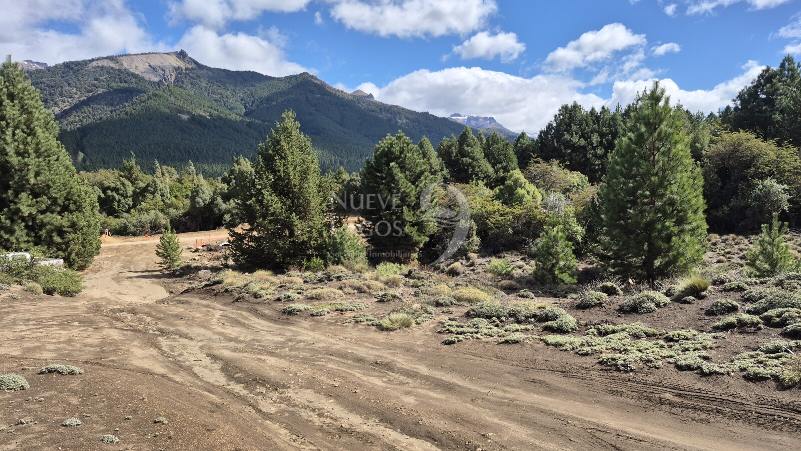 Venta de lote amplio sobre RP63 en Villa Lago Meliquina - 7