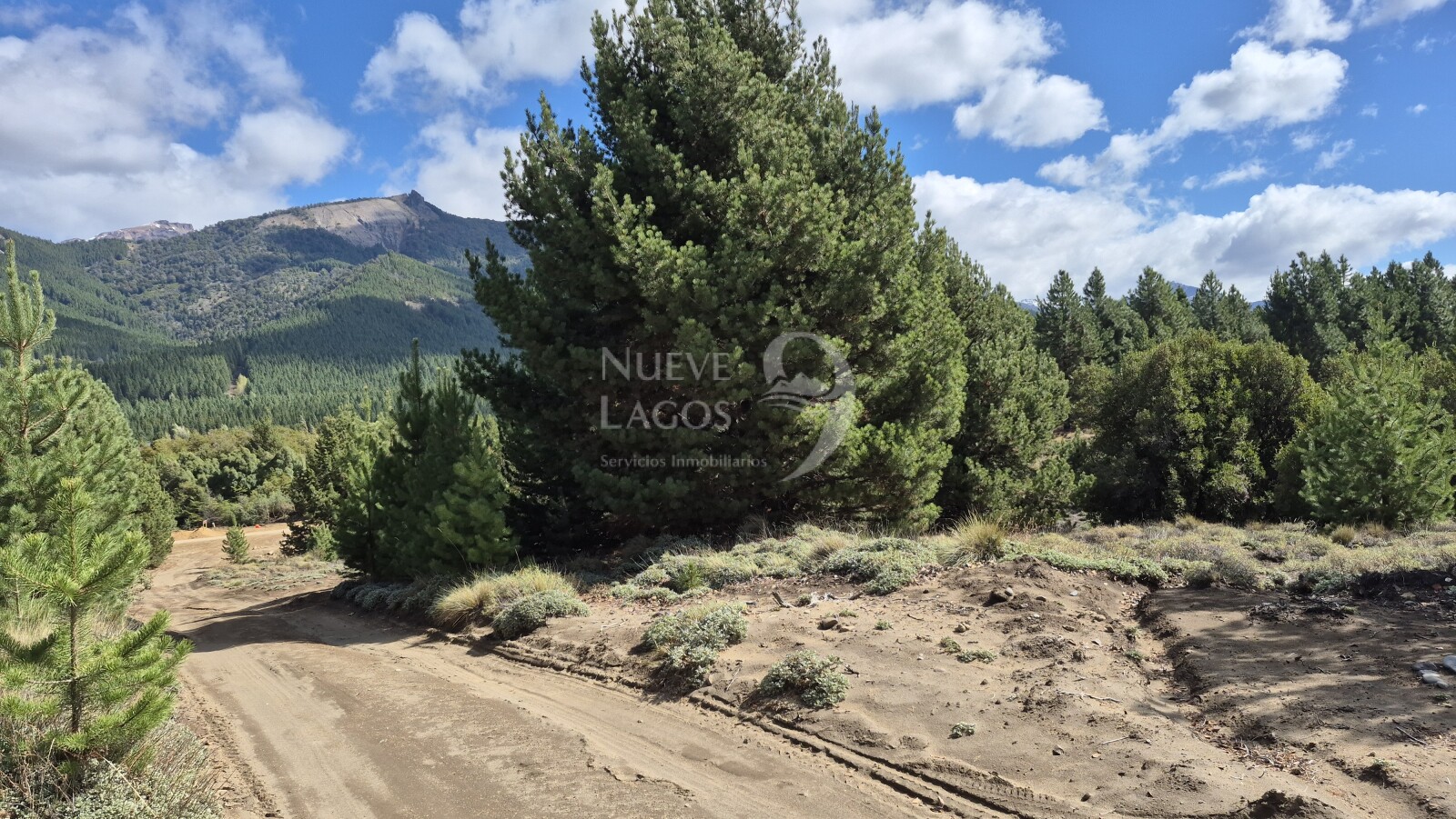 Venta de lote amplio sobre RP63 en Villa Lago Meliquina - 10