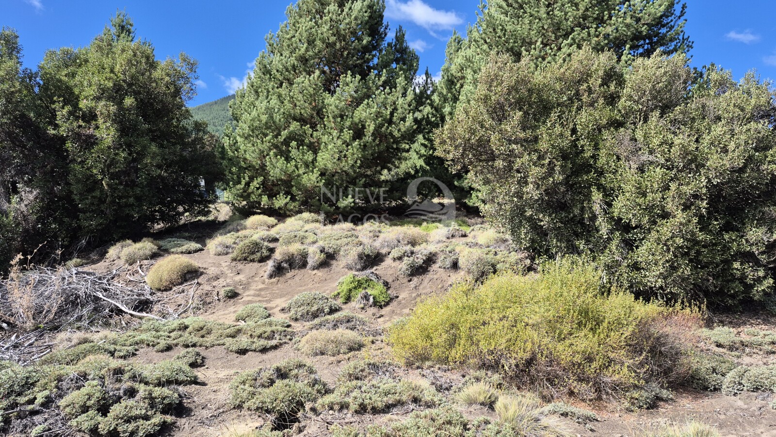 Venta de lote amplio sobre RP63 en Villa Lago Meliquina - 9