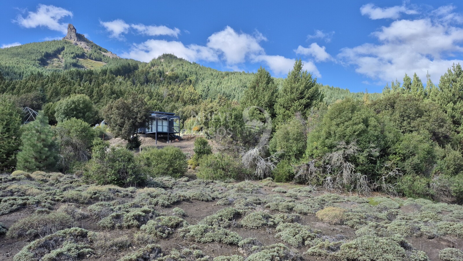 Venta de lote amplio sobre RP63 en Villa Lago Meliquina - 4