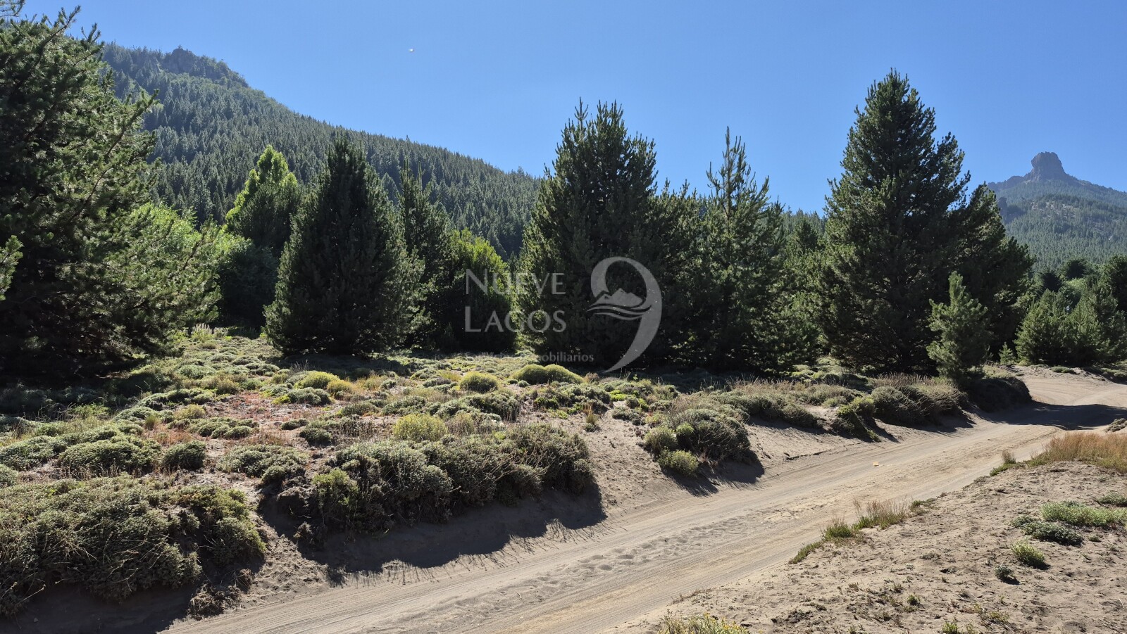 Venta de dos lotes comerciales soleados en Meliquina - 9