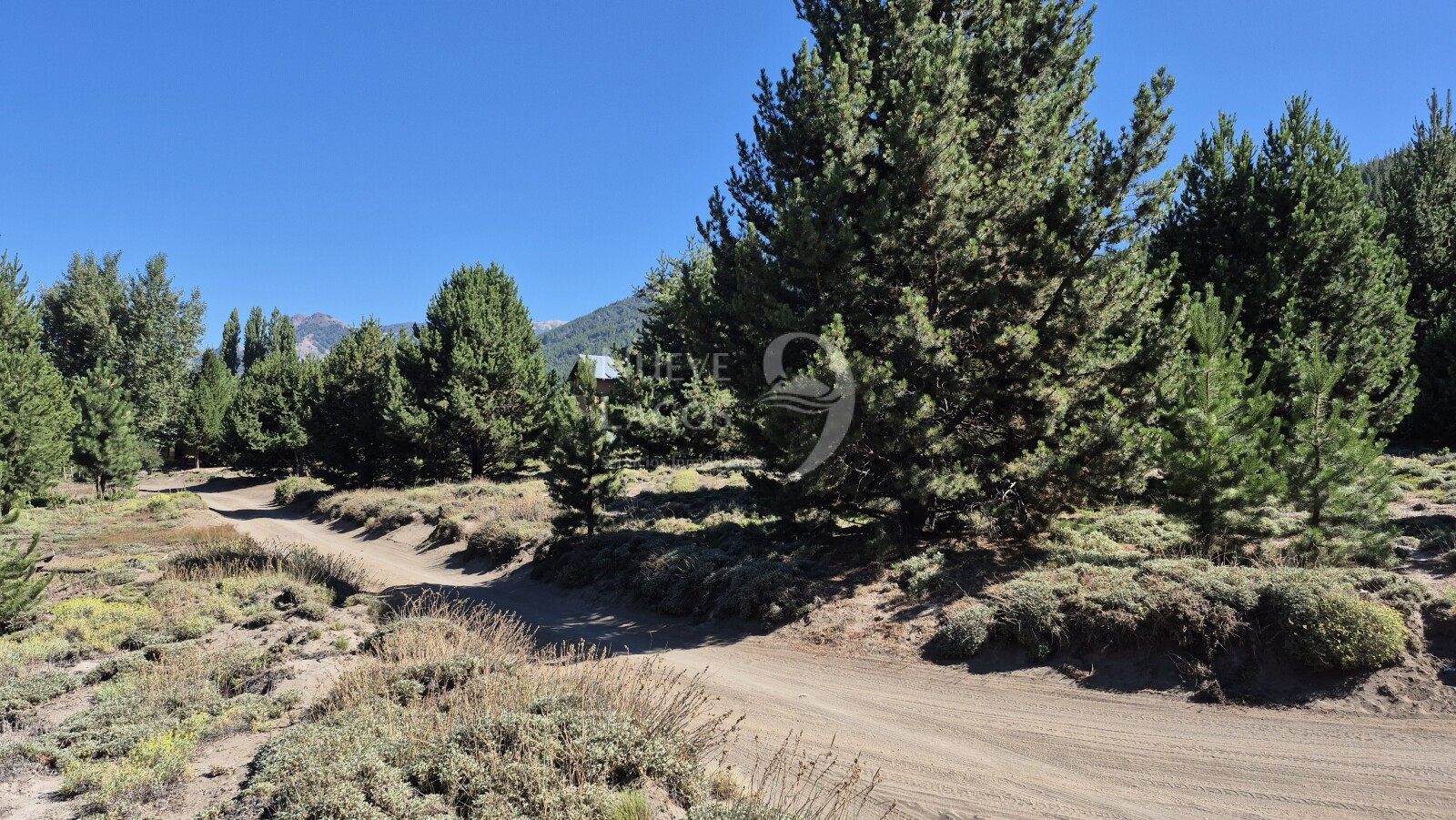 Venta de dos lotes comerciales soleados en Meliquina - 8