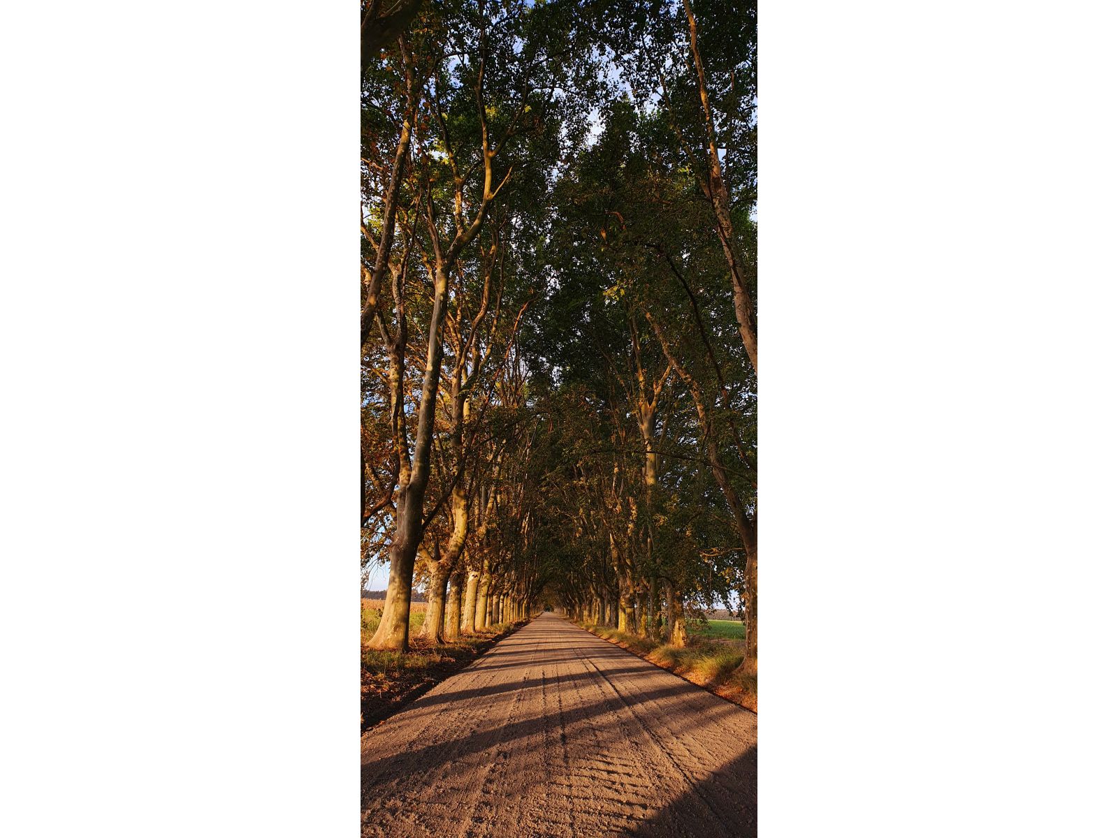 VENTA TERRENO AZAHARES DEL PARANA BR135 OPORTUNIDAD - 14