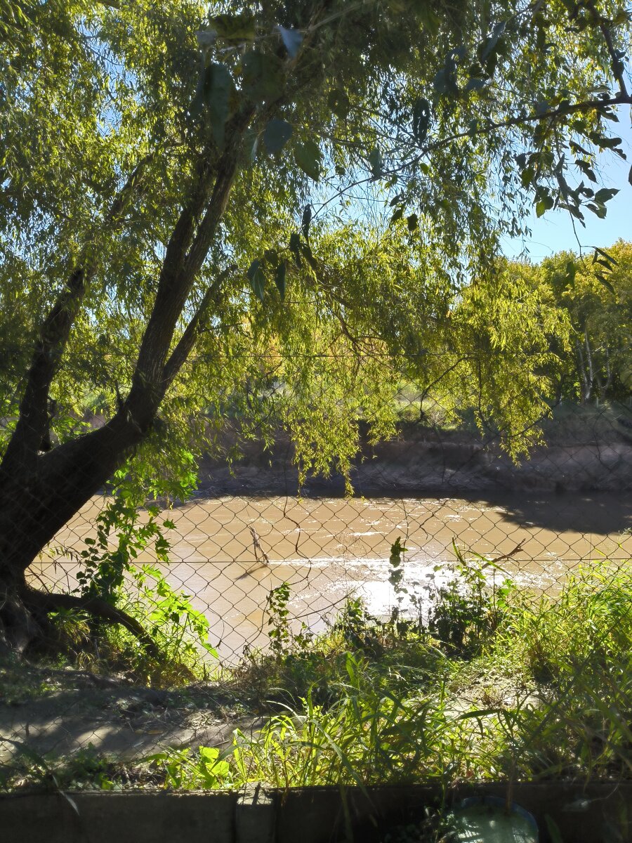 Inmueble en Villa Elvira con fondo al río - 3