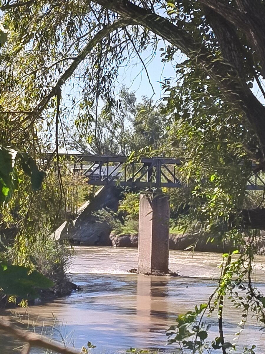 Inmueble en Villa Elvira con fondo al río - 6