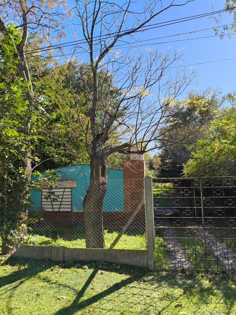 Inmueble en Villa Elvira con fondo al río - 2