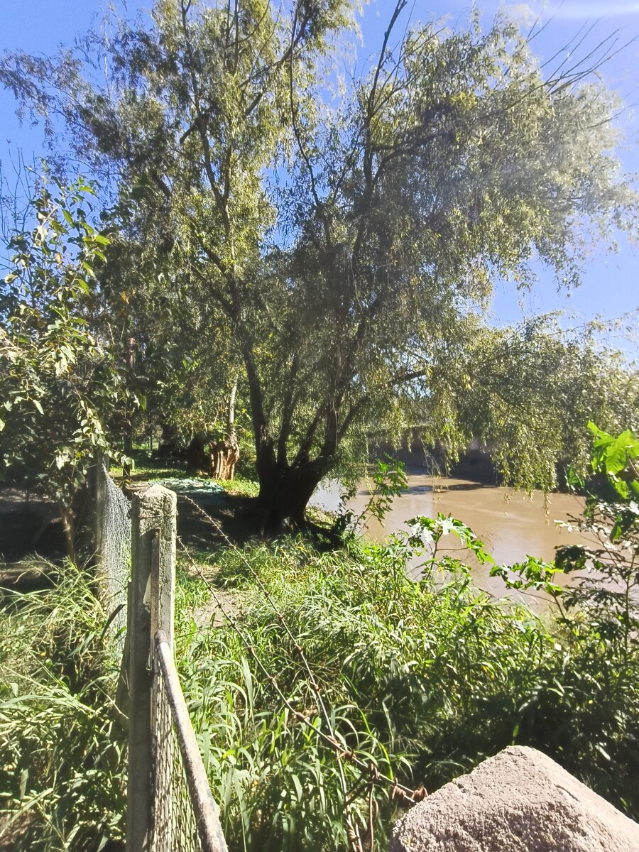 Inmueble en Villa Elvira con fondo al río - 4