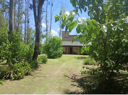 Casas - Iriondo - Alquiler