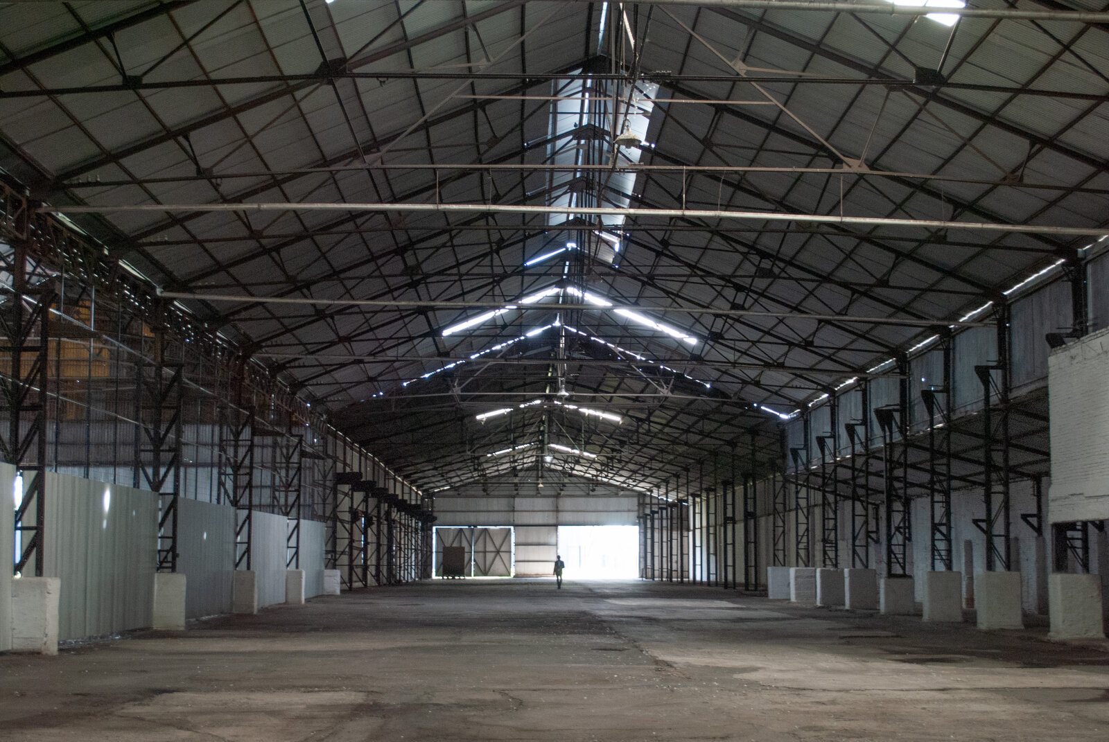 Ruta 21 km 3,5 - Nave 8200 m2 - Alvear - 4