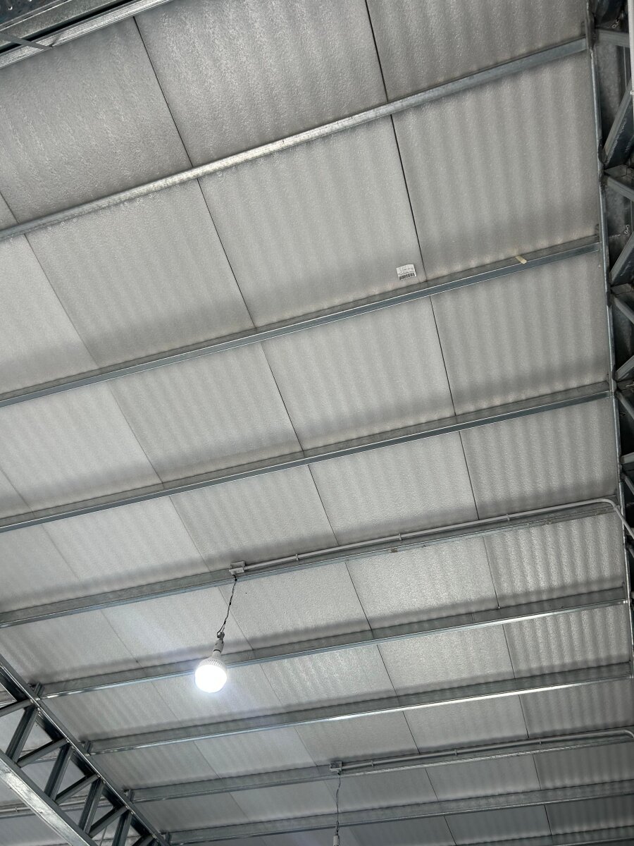 Locales Comerciales 100 m2 - Ruta 21 km 3,5 - Alvear - 15