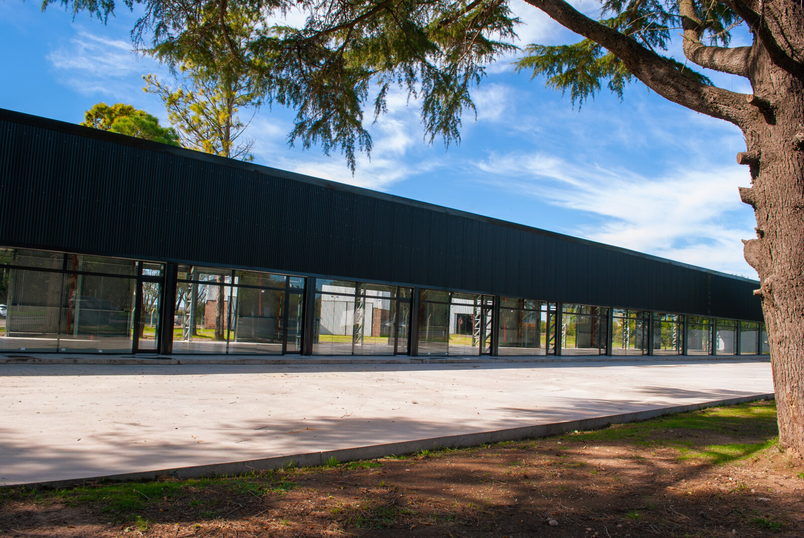 Locales Comerciales 100 m2 - Ruta 21 km 3,5 - Alvear - 6