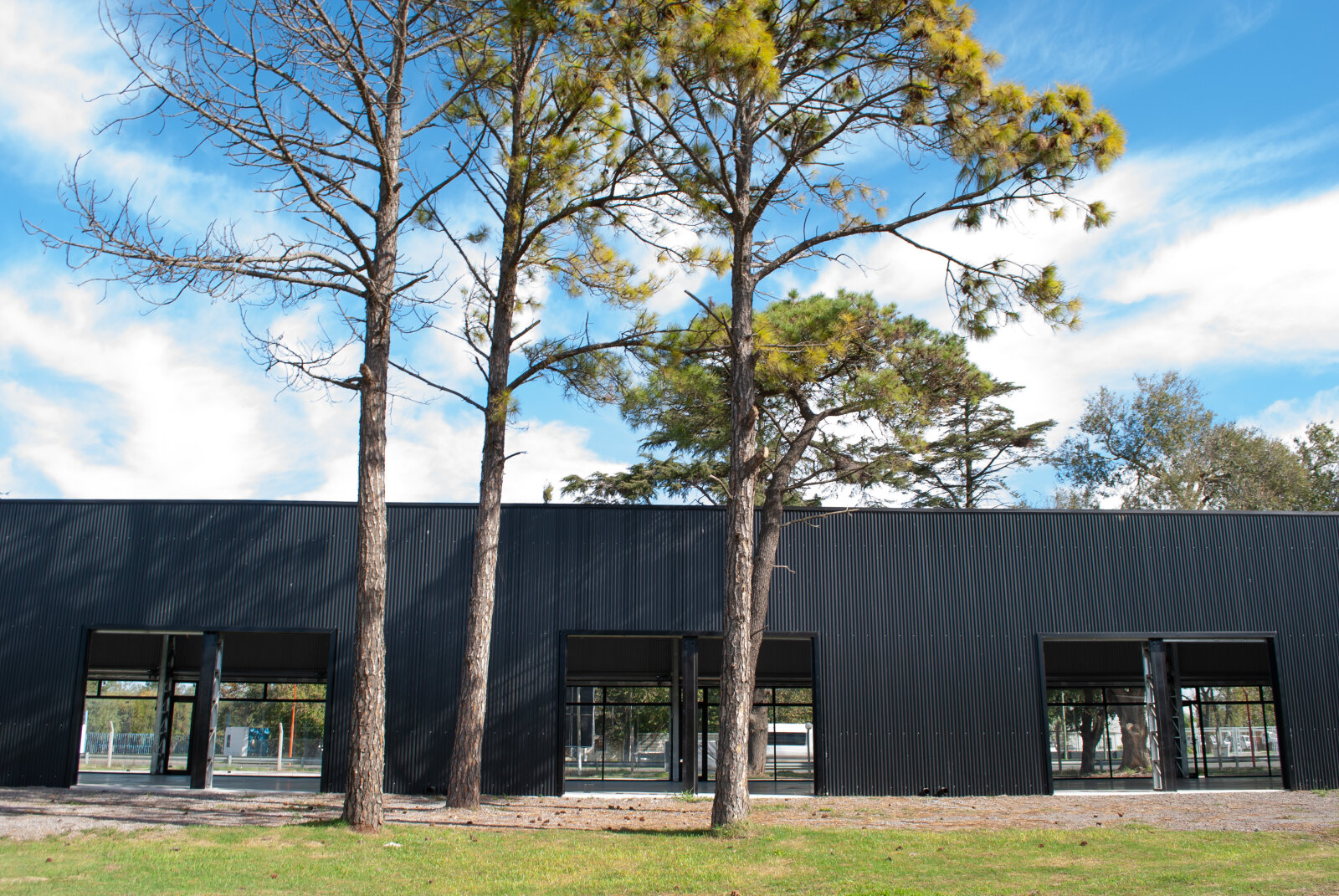 Locales Comerciales 100 m2 - Ruta 21 km 3,5 - Alvear - 7