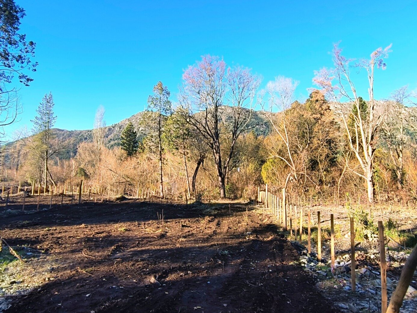 (KT001.A) Lotes en Lago Puelo -Isla Centro- de 450 mt² con escritura individual - 7