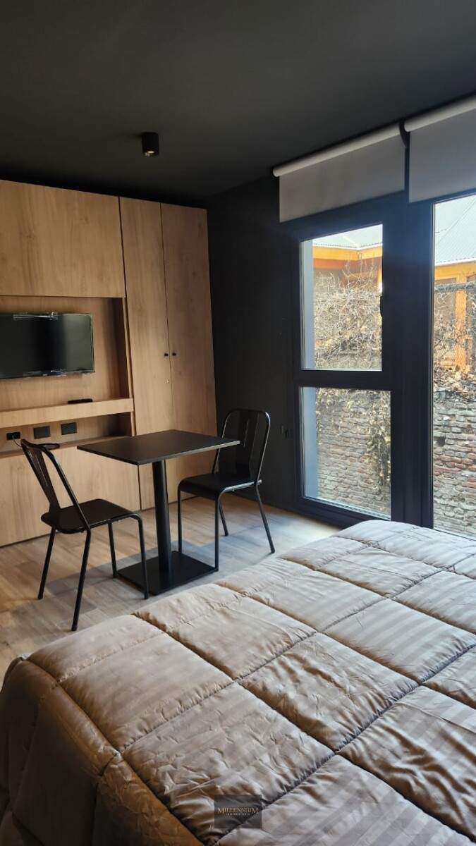 DEPARTAMENTO - SAN MARTIN DE LOS ANDES - CENTRO - Imagen 6