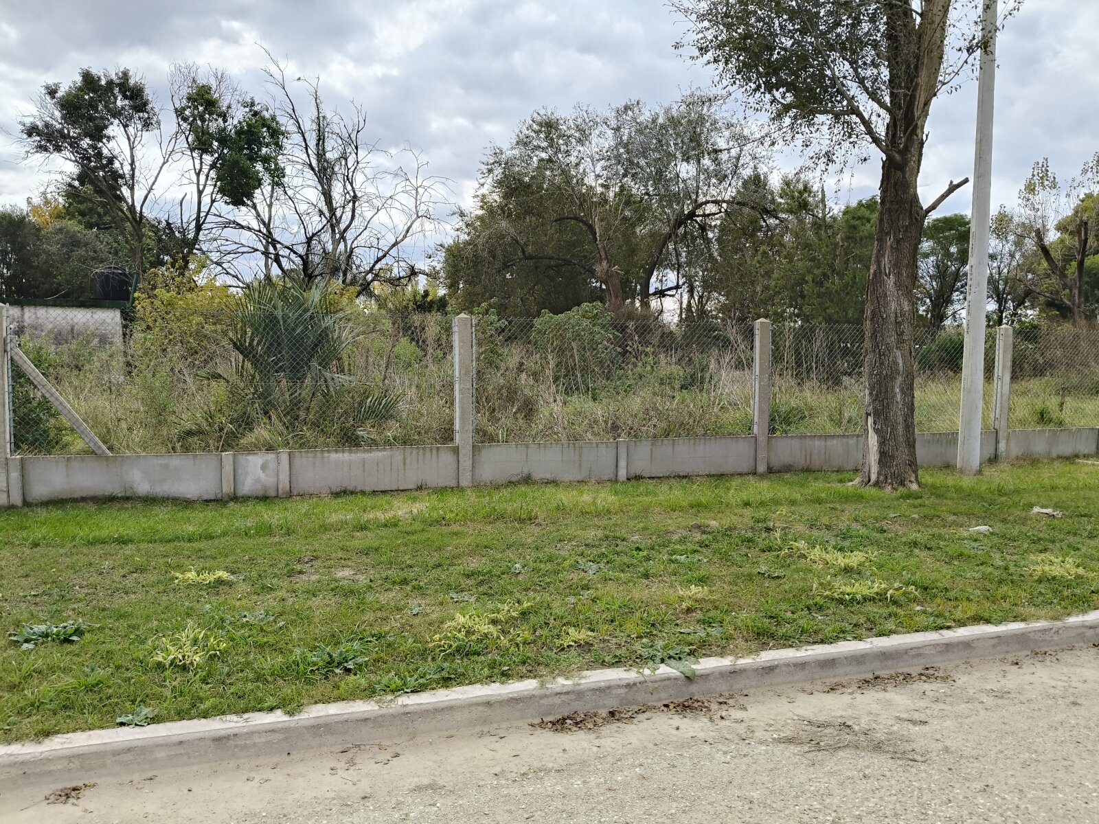 LOTES BARRIO LA PALOMA, TIMBÚES - 6