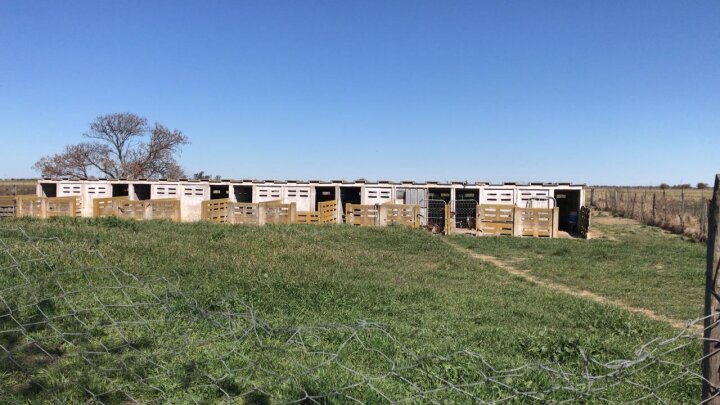 Venta de Campo mas inmueble 12 hectareas en Ballesteros sobre ruta nacional 1V09