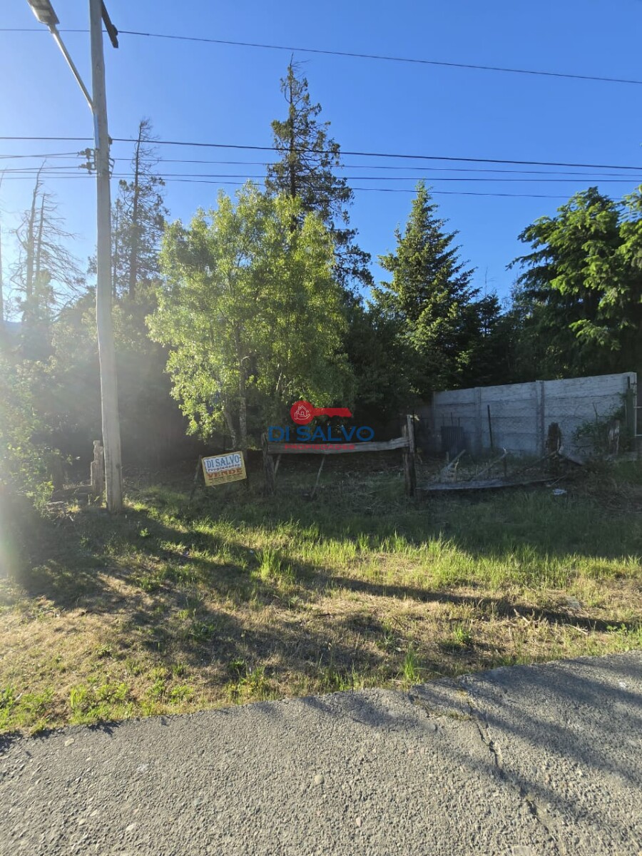 Lote de 800 mts2 sobre Ruta - Villa del Lago - Lago Puelo - 3