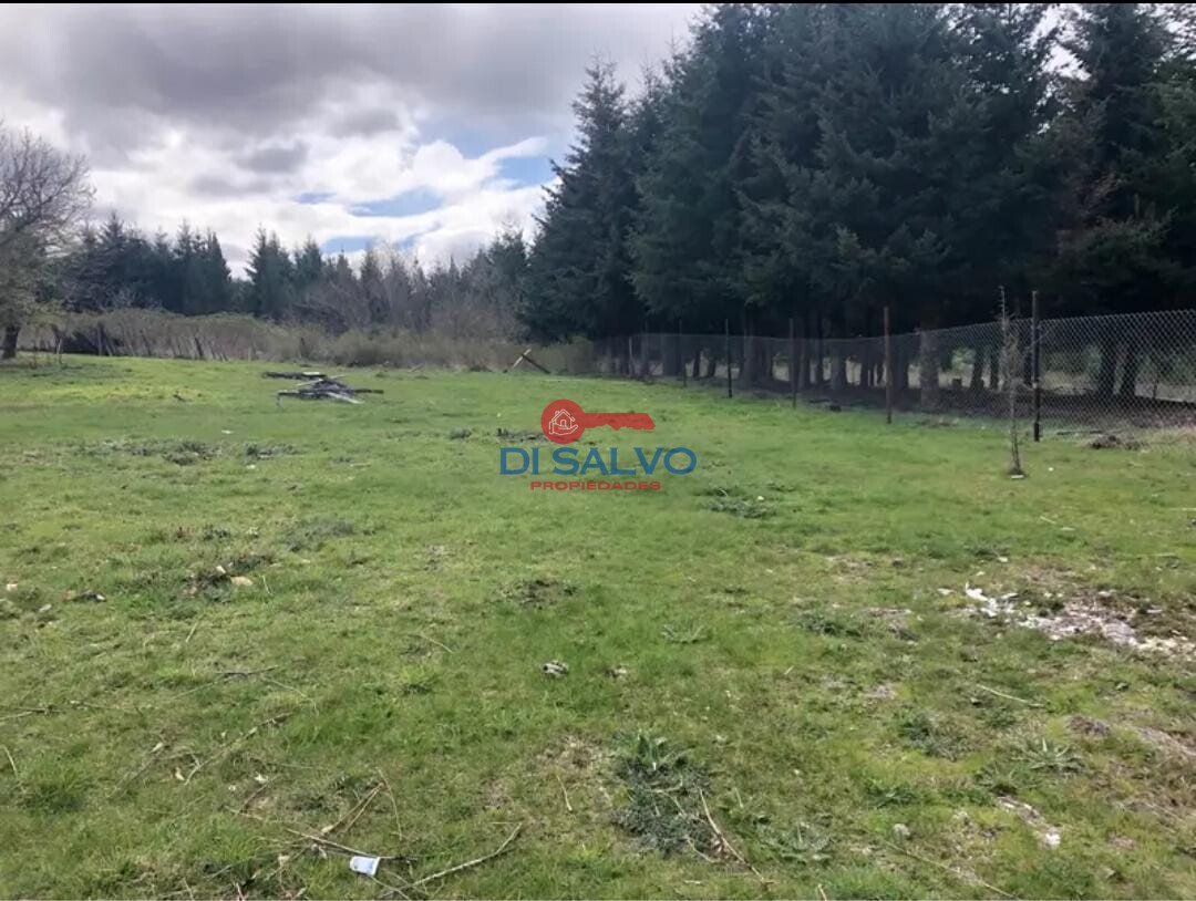 Lote 900 mts2 En Las Golondrinas - Lago Puelo - 2