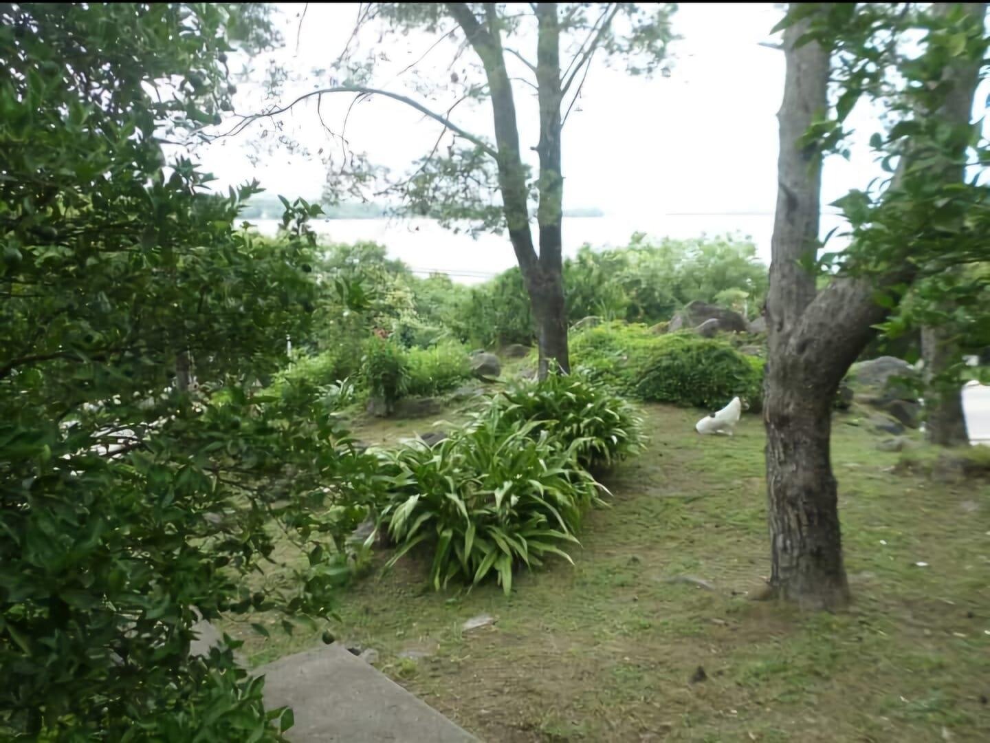 001- LOTE con CASA + DEPARTAMENTO. Ruta 5 Km 110,5 Embalse - Imagen 8