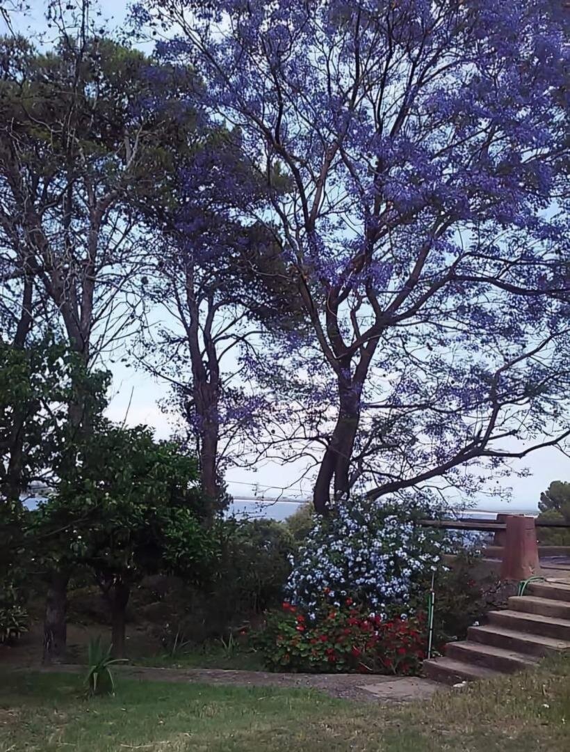 001- LOTE con CASA + DEPARTAMENTO. Ruta 5 Km 110,5 Embalse - Imagen 6